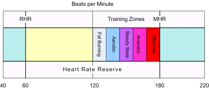 Bpm Range For Fat Burning